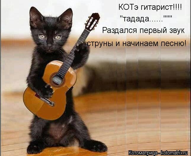 КОТэ гитарист!!!! "тадада......""" Раздался первый звук струны и начинаем песню!... Котоматрица: КОТэ гитарист!!!! "тадада......""" Раздался первый звук струны и начинаем песню!