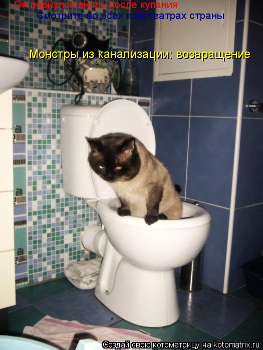 Он вернулся вновь после купания Смотрите во всех кинотеатрах страны Монстры из канализации: возвращен... Котоматрица: Он вернулся вновь после купания Смотрите во всех кинотеатрах страны Монстры из канализации: возвращение