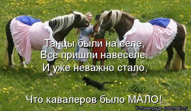 Танцы были на селе, Все пришли навеселе, И уже неважно стало, Что кавалеров было МАЛО!... Котоматрица: Танцы были на селе, Все пришли навеселе, И уже неважно стало, Что кавалеров было МАЛО!