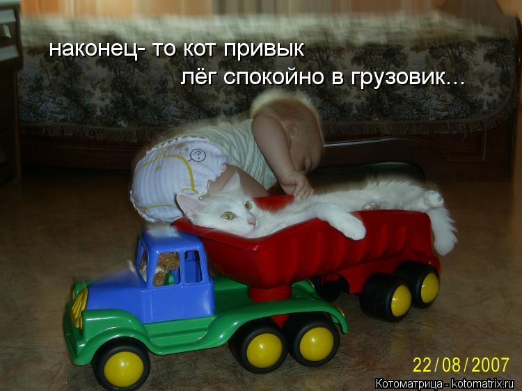 наконец- то кот привык лёг спокойно в грузовик...... Котоматрица: наконец- то кот привык лёг спокойно в грузовик...