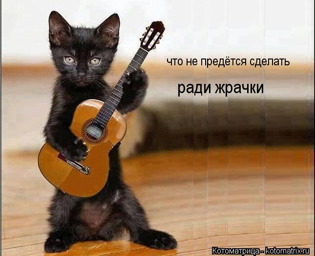что не предётся сделать ради жрачки... Котоматрица: что не предётся сделать ради жрачки