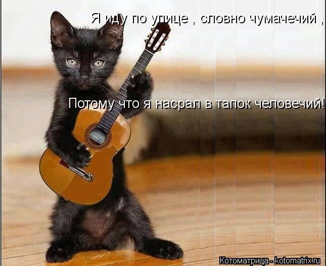 Я иду по улице , словно чумачечий , Потому что я насрал в тапок человечий!... Котоматрица: Я иду по улице , словно чумачечий , Потому что я насрал в тапок человечий!