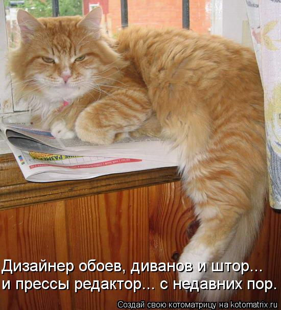 и прессы редактор... с недавних пор. Дизайнер обоев, диванов и штор...... Котоматрица: и прессы редактор... с недавних пор. Дизайнер обоев, диванов и штор...