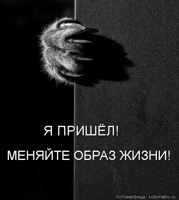 Котоматрица: Я ПРИШЁЛ! МЕНЯЙТЕ ОБРАЗ ЖИЗНИ!