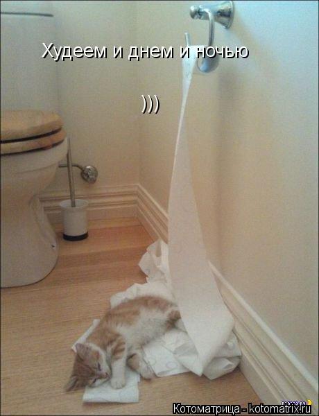Худеем и днем и ночью )))... Котоматрица: Худеем и днем и ночью )))