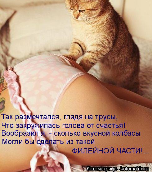 Так размечтался, глядя на трусы, Что закружилась голова от счастья! Вообразил я, - сколько вкусной ко... Котоматрица: Так размечтался, глядя на трусы, Что закружилась голова от счастья! Вообразил я, - сколько вкусной колбасы Могли бы сделать из такой ФИЛЕЙНО