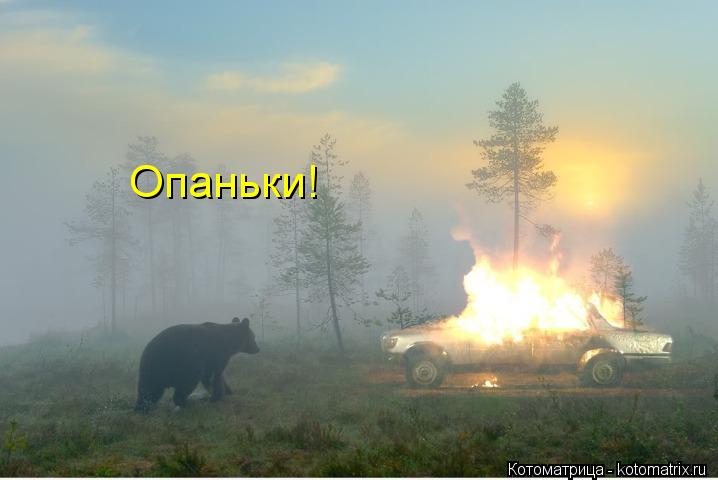 Опаньки!... Котоматрица: Опаньки!