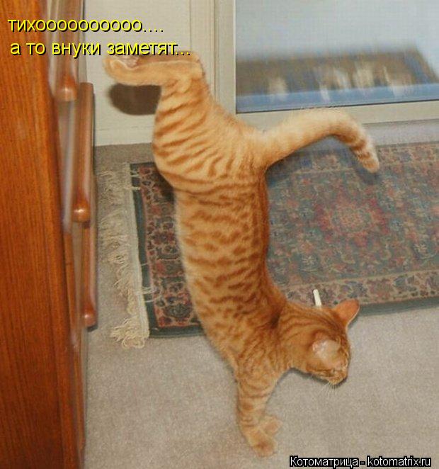 тихоооооооооо.... а то внуки заметят...... Котоматрица: тихоооооооооо.... а то внуки заметят...