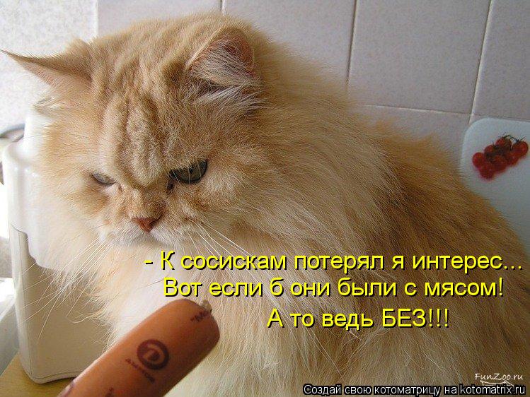 Котоматрица: - К сосискам потерял я интерес... Вот если б они были с мясом! А то ведь БЕЗ!!!