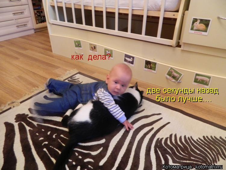 как дела? две секунды назад было лучше....... Котоматрица: как дела? две секунды назад было лучше....