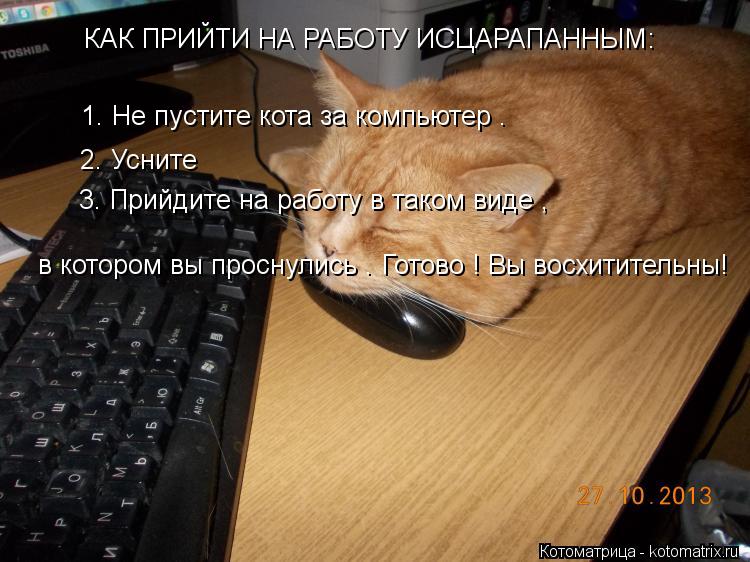 КАК ПРИЙТИ НА РАБОТУ ИСЦАРАПАННЫМ: 1. Не пустите кота за компьютер . 2. Усните 3. Прийдите на работу ... Котоматрица: КАК ПРИЙТИ НА РАБОТУ ИСЦАРАПАННЫМ: 1. Не пустите кота за компьютер . 2. Усните 3. Прийдите на работу в таком виде , в котором вы проснулись . Гот