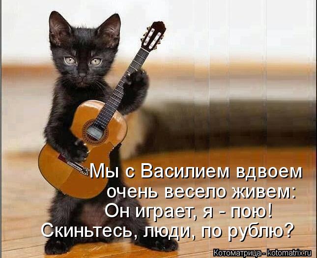 Котоматрица: Мы с Василием вдвоем  очень весело живем: Он играет, я - пою! Скиньтесь, люди, по рублю?