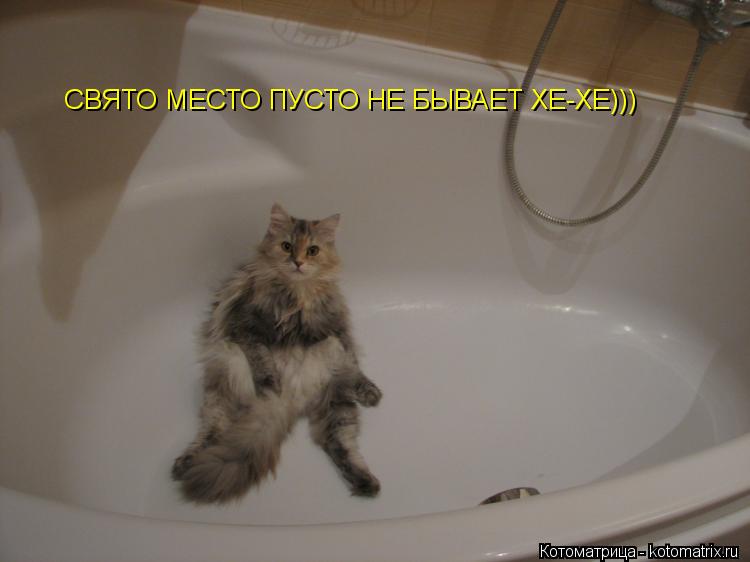 СВЯТО МЕСТО ПУСТО НЕ БЫВАЕТ ХЕ-ХЕ)))... Котоматрица: СВЯТО МЕСТО ПУСТО НЕ БЫВАЕТ ХЕ-ХЕ)))