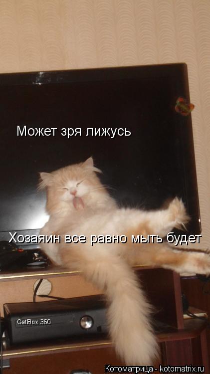 Может зря лижусь Хозаяин все равно мыть будет CatBox 360... Котоматрица: Может зря лижусь Хозаяин все равно мыть будет CatBox 360