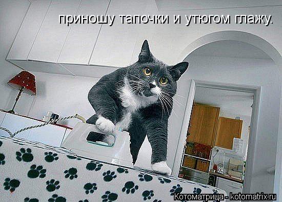 Котоматрица: приношу тапочки и утюгом глажу.