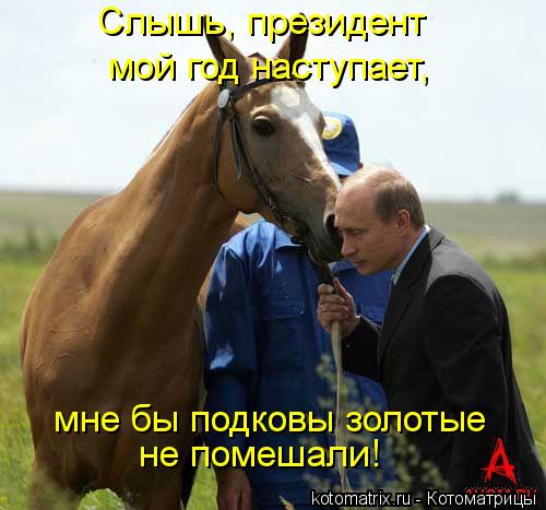 Слышь, президент мой год наступает, мне бы подковы золотые не помешали!... Котоматрица: Слышь, президент мой год наступает, мне бы подковы золотые не помешали!