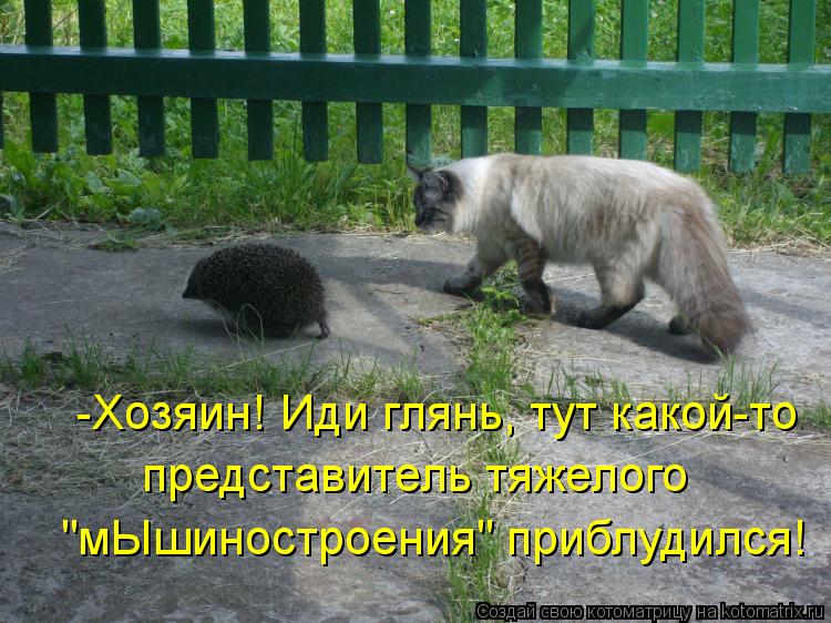 -Хозяин! Иди глянь, тут какой-то представитель тяжелого "мЫшиностроения" приблудился!... Котоматрица: -Хозяин! Иди глянь, тут какой-то представитель тяжелого "мЫшиностроения" приблудился!