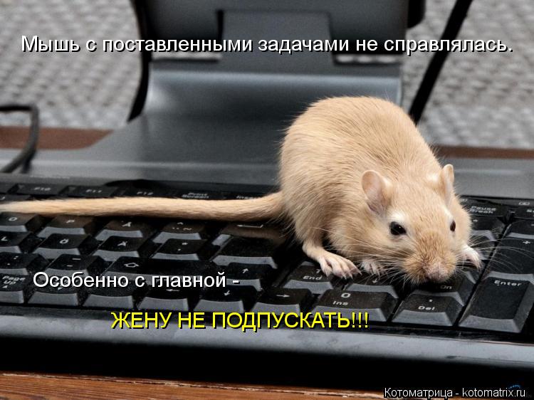Мышь с поставленными задачами не справлялась. Особенно с главной - ЖЕНУ НЕ ПОДПУСКАТЬ!!!... Котоматрица: Мышь с поставленными задачами не справлялась. Особенно с главной - ЖЕНУ НЕ ПОДПУСКАТЬ!!!