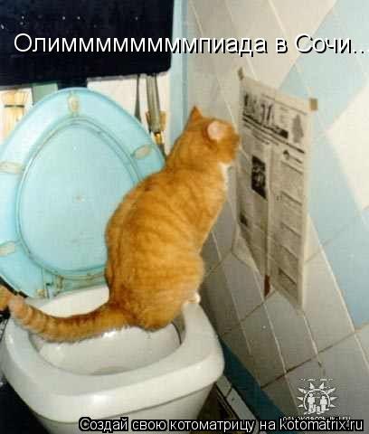 Олиммммммммпиада в Сочи...... Котоматрица: Олиммммммммпиада в Сочи...