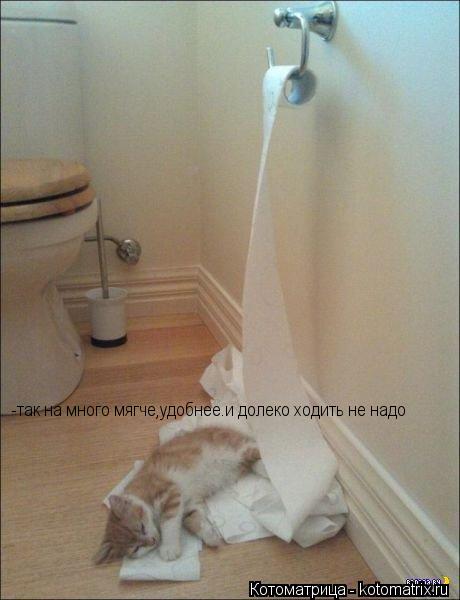 -так на много мягче,удобнее.и долеко ходить не надо... Котоматрица: -так на много мягче,удобнее.и долеко ходить не надо