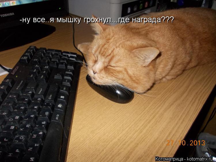 -ну все..я мышку грохнул...где награда???... Котоматрица: -ну все..я мышку грохнул...где награда???