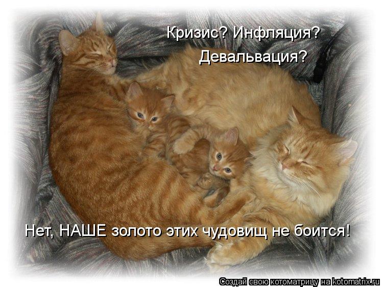 Кризис? Инфляция? Девальвация? Нет, НАШЕ золото этих чудовищ не боится!... Котоматрица: Кризис? Инфляция? Девальвация? Нет, НАШЕ золото этих чудовищ не боится!