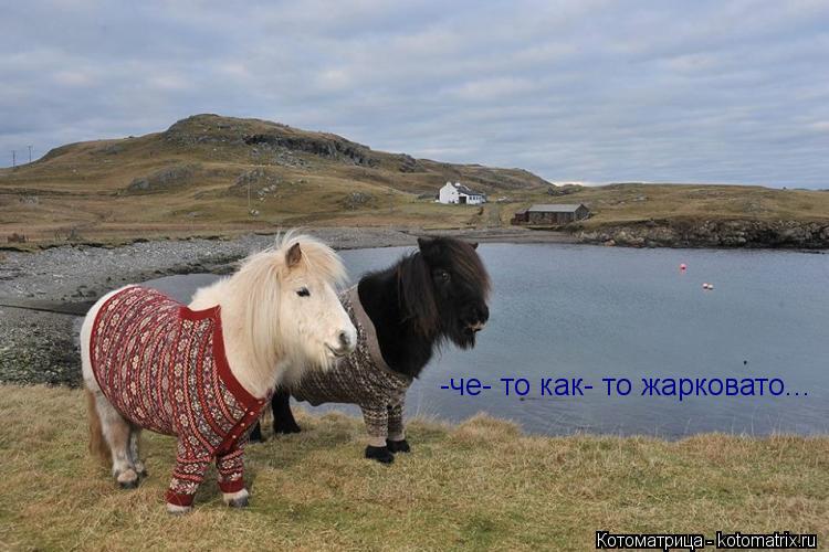 -че- то как- то жарковато...... Котоматрица: -че- то как- то жарковато...