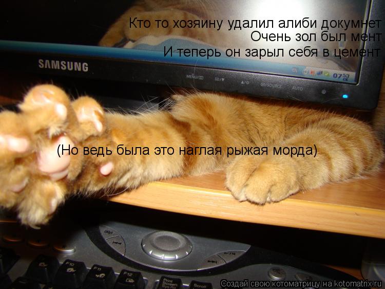 Котоматрица: Кто то хозяину удалил алиби докумнет Очень зол был мент И теперь он зарыл себя в цемент (Но ведь была это наглая рыжая морда)