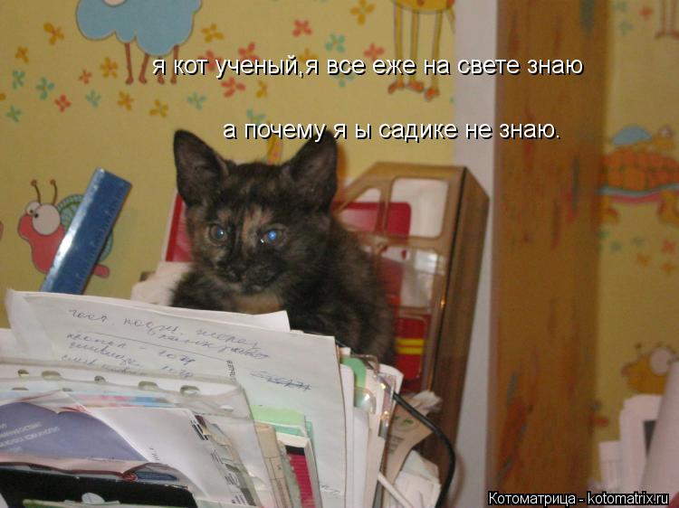 я кот ученый,я все еже на свете знаю а почему я ы садике не знаю.... Котоматрица: я кот ученый,я все еже на свете знаю а почему я ы садике не знаю.
