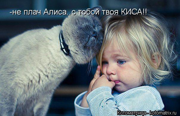 -не плач Алиса..с тобой твоя КИСА!!... Котоматрица: -не плач Алиса..с тобой твоя КИСА!!
