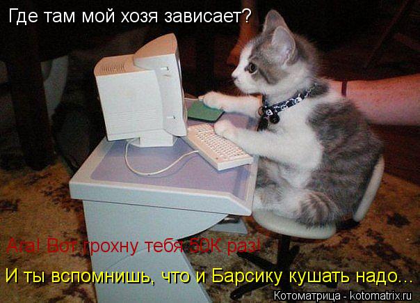 Котоматрица: Где там мой хозя зависает? И ты вспомнишь, что и Барсику кушать надо... Ага! Вот грохну тебя 50К раз!