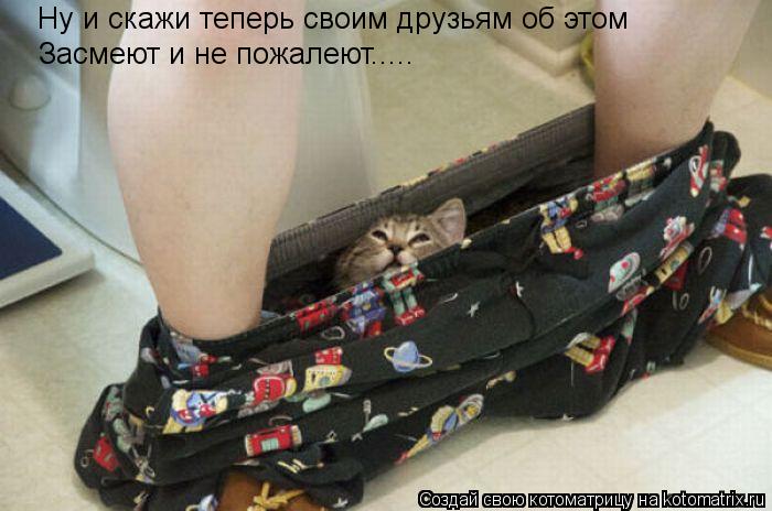 Котоматрица: Ну и скажи теперь своим друзьям об этом Засмеют и не пожалеют.....