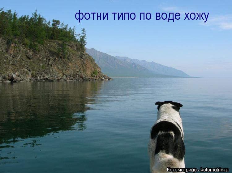фотни типо по воде хожу... Котоматрица: фотни типо по воде хожу