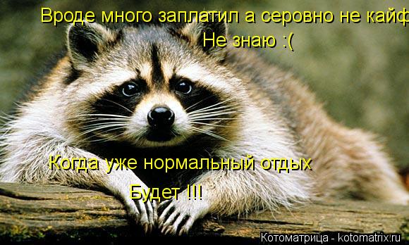 Вроде много заплатил а серовно не кайф Не знаю :( Когда уже нормальный отдых Будет !!!... Котоматрица: Вроде много заплатил а серовно не кайф Не знаю :( Когда уже нормальный отдых Будет !!!