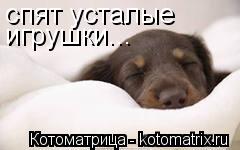 спят усталые игрушки...... Котоматрица: спят усталые игрушки...