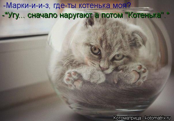 -Марки-и-и-з, где-ты котенька моя? -*Угу... сначало наругают а потом "Котенька".*... Котоматрица: -Марки-и-и-з, где-ты котенька моя? -*Угу... сначало наругают а потом "Котенька".*