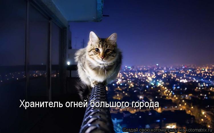 Хранитель огней большого города... Котоматрица: Хранитель огней большого города