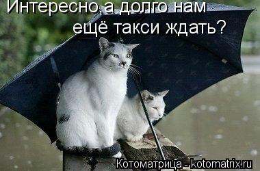 Котоматрица: Интересно,а долго нам  ещё такси ждать?