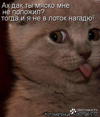 Ах дак ты мяско мне не положил? тогда и я не в лоток нагадю!... Котоматрица: Ах дак ты мяско мне не положил? тогда и я не в лоток нагадю!