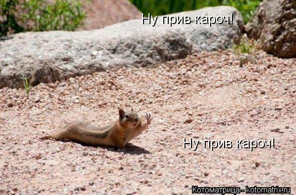 Ну прив кароч! Ну прив кароч!... Котоматрица: Ну прив кароч! Ну прив кароч!