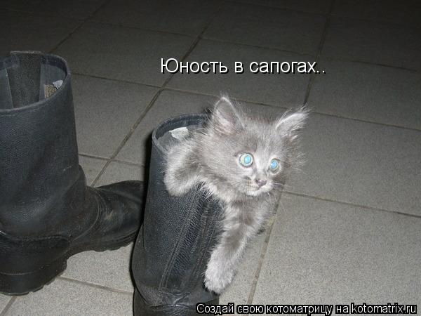 Юность в сапогах..... Котоматрица: Юность в сапогах..