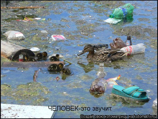 ЧЕЛОВЕК-это звучит.... Котоматрица: ЧЕЛОВЕК-это звучит.