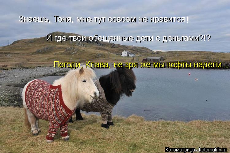 Знаешь, Тоня, мне тут совсем не нравится ! И где твои обещенные дети с деньгами?!? Погоди, Клава, не... Котоматрица: Знаешь, Тоня, мне тут совсем не нравится ! И где твои обещенные дети с деньгами?!? Погоди, Клава, не зря же мы кофты надели...