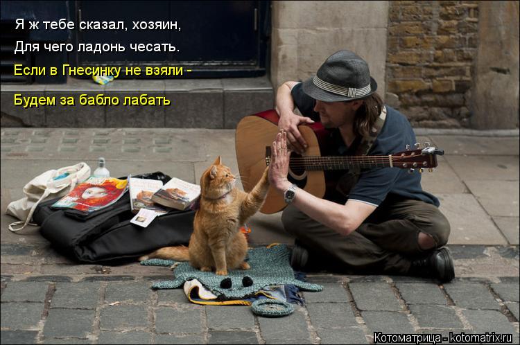 Я ж тебе сказал, хозяин, Для чего ладонь чесать. Если в Гнесинку не взяли - Будем за бабло лабать... Котоматрица: Я ж тебе сказал, хозяин, Для чего ладонь чесать. Если в Гнесинку не взяли - Будем за бабло лабать