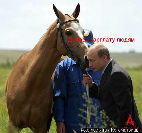 Добавь зарплату людям... Котоматрица: Добавь зарплату людям