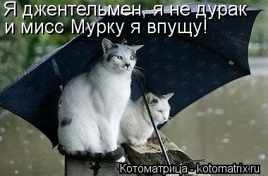 Я джентельмен, я не дурак и мисс Мурку я впущу!... Котоматрица: Я джентельмен, я не дурак и мисс Мурку я впущу!