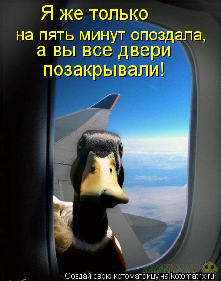 Я же только на пять минут опоздала, а вы все двери позакрывали!... Котоматрица: Я же только на пять минут опоздала, а вы все двери позакрывали!