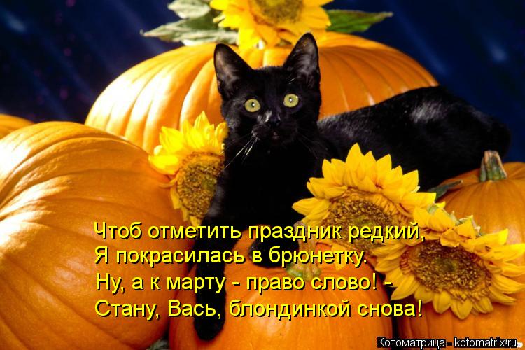 Чтоб отметить праздник редкий, Я покрасилась в брюнетку. Ну, а к марту - право слово! - Стану, Вась,... Котоматрица: Чтоб отметить праздник редкий, Я покрасилась в брюнетку. Ну, а к марту - право слово! - Стану, Вась, блондинкой снова!