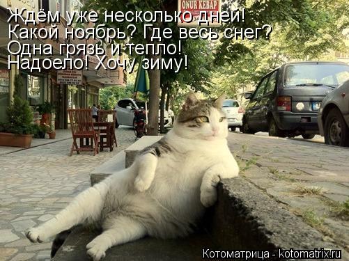 Ждём уже несколько дней! Какой ноябрь? Где весь снег? Одна грязь и тепло! Надоело! Хочу зиму!... Котоматрица: Ждём уже несколько дней! Какой ноябрь? Где весь снег? Одна грязь и тепло! Надоело! Хочу зиму!