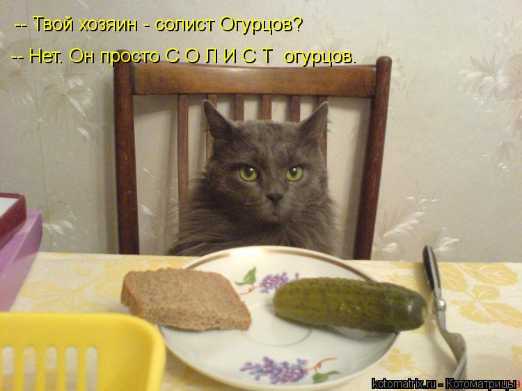 -- Твой хозяин - солист Огурцов? -- Нет. Он просто С О Л И С Т огурцов.... Котоматрица: -- Твой хозяин - солист Огурцов? -- Нет. Он просто С О Л И С Т огурцов.
